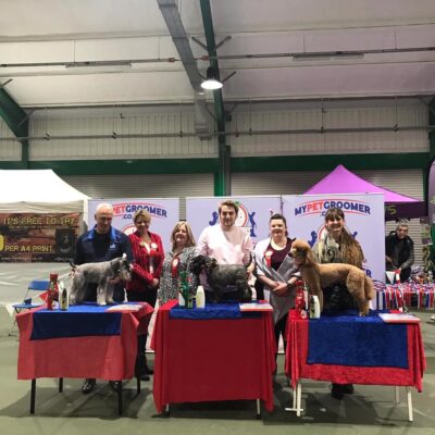 Callum Anderton for his 1st place in best up and coming groomer. Callum Anderton for his 1st place in best up and coming groomer.