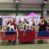 Nicole Terri Whittle for her well deserved second place in purebreds class Nicole Terri Whittle for her well deserved second place in purebreds class