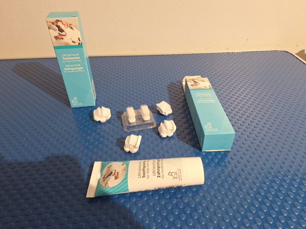 Cleany Teeth toothpaste and replacement brush heads
