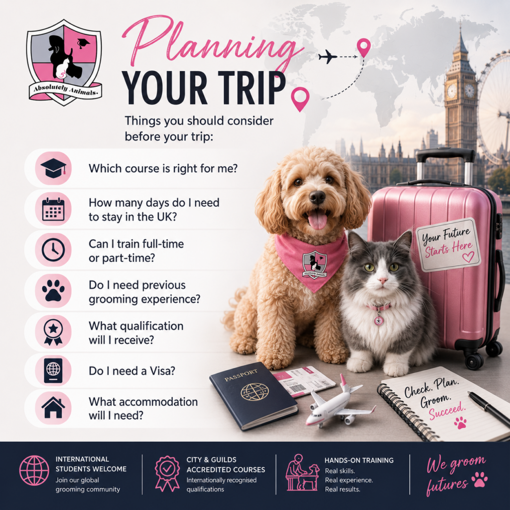 planning your trip